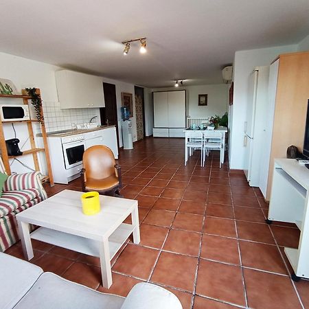 Apartamento-Estudio En Villa Con Piscina Μάλαγα Εξωτερικό φωτογραφία